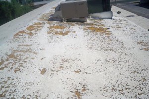 flat SPF foam roofs